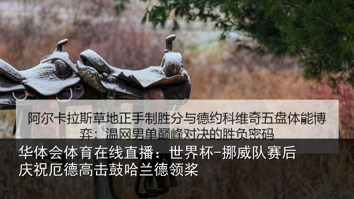 华体会体育在线直播:世界杯-挪威队赛后庆祝厄德高击鼓哈兰德领桨