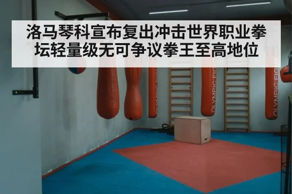 洛马琴科宣布复出冲击世界职业拳坛轻量级无可争议拳王至高地位